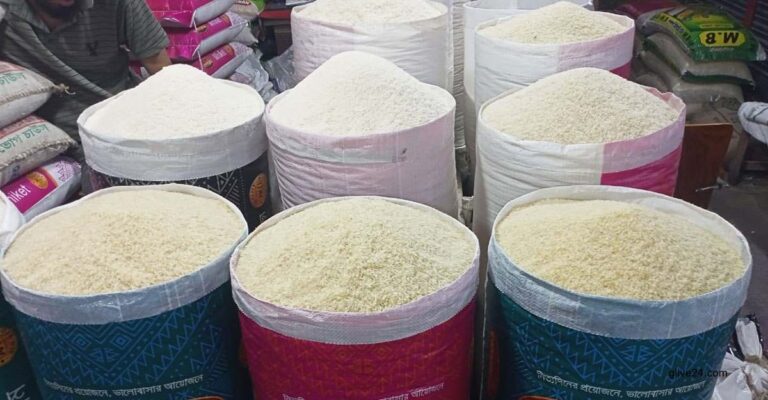 বাজারে মিনিকেট চাল বিক্রি অবৈধ ঘোষণা করে সংসদে বিল পাস