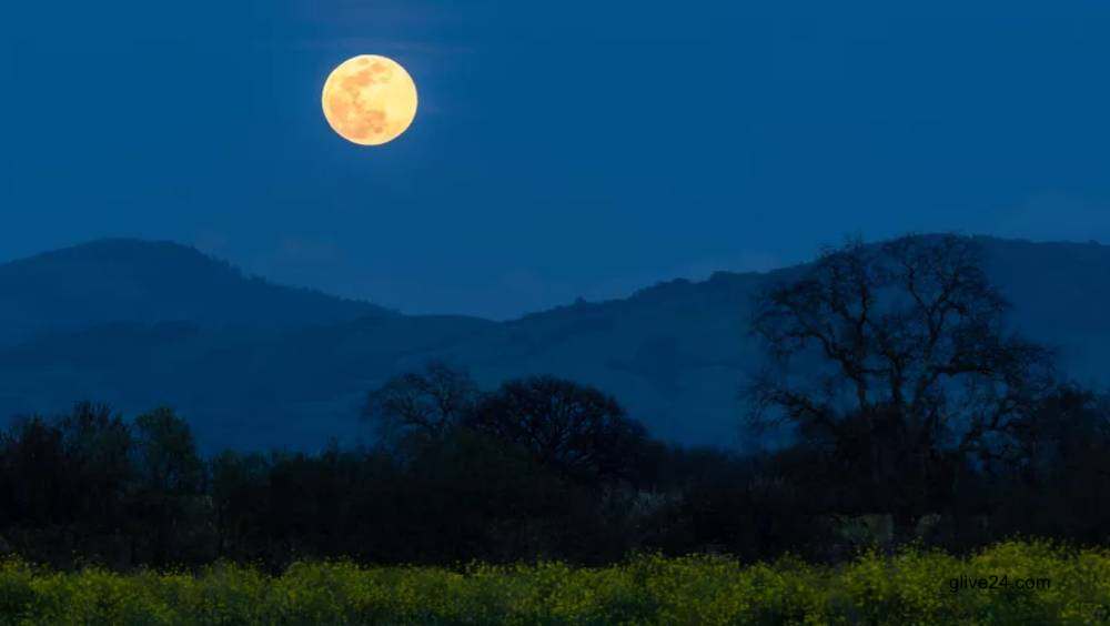 উদয় হলো বছরের শেষ সুপারমুন 