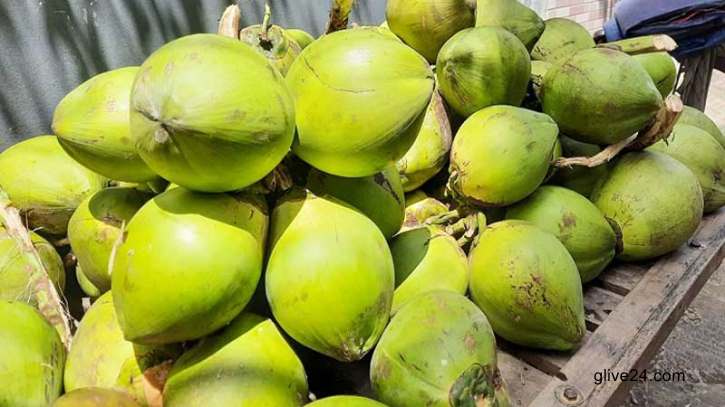 ডাব কেনাবেচায় রাখতে হবে রশিদ, দাম বেশি নিলে ব্যবস্থা