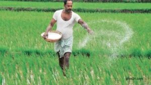 তিন দেশ থেকে ৭২৯ কোটি টাকার সার কিনবে সরকার