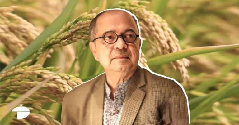পঞ্চব্রীহি ধান উদ্ভাবন করেছেন বাংলাদেশী বিজ্ঞানী ড. আবেদ চৌধুরী, এক গাছে ৫ ফলন