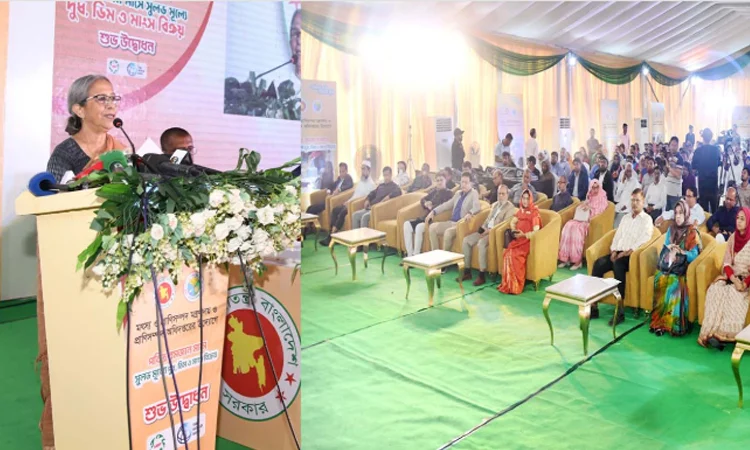 বাজারে অযথা মূল্যবৃদ্ধিকারীদের ছাড় দেওয়া যাবে না - প্রাণিসম্পদ উপদেষ্টা