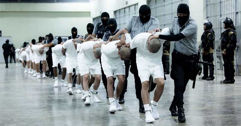 যুক্তরাষ্ট্র কর্তৃক এল সালভাদরের কারাগারে পাঠানো অভিবাসীদের মুক্তির দাবিতে ভেনেজুয়েলায় বিক্ষোভ