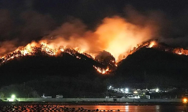 জাপানের ওকায়ামাতে দাবানল ছড়িয়ে পড়ছে