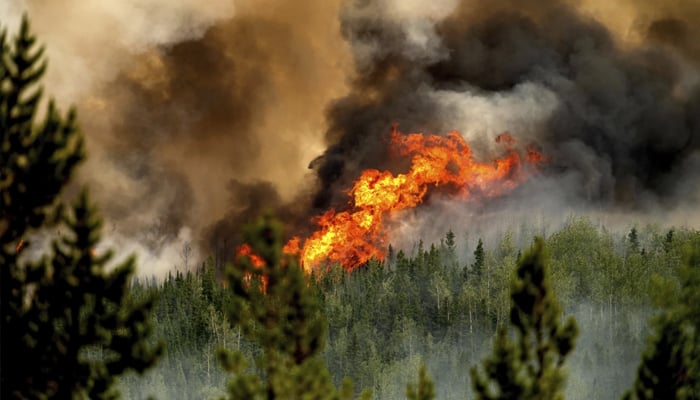 কানাডায় ভয়াবহ দাবানলে দু’জনের মৃত্যু, ১ হাজারের বেশি মানুষ সরিয়ে নেওয়া হয়েছে