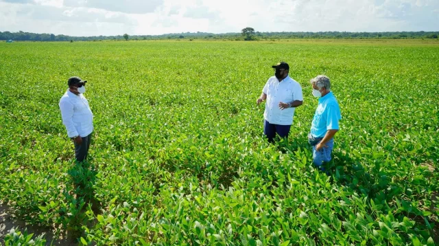 বিশ্বে খাদ্যে স্বয়ংসম্পূর্ণ একমাত্র দেশ গায়ানা: গবেষণা