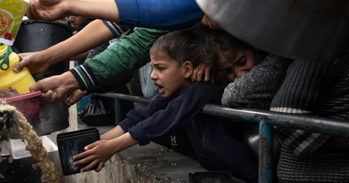 গাজায় খাদ্য বিতরণের নিরাপত্তা নিশ্চিত করতে ফ্রান্সের সহায়তার প্রস্তাব