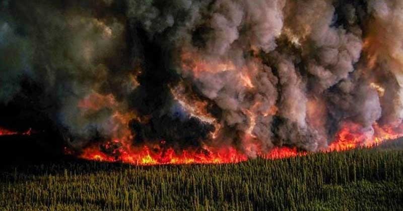 কানাডায় দাবানলে পুড়েছে ক্রোয়েশিয়ার সমান এলাকা