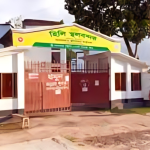 হিলি স্থলবন্দরে একদিনের বাণিজ্য বন্ধ, ইমিগ্রেশন চালু