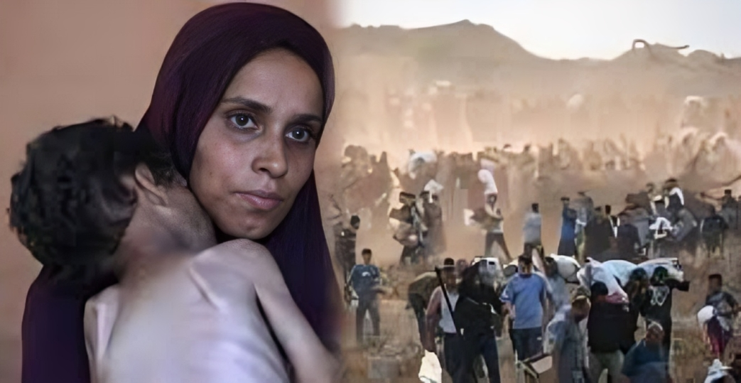 গাজায় অনাহার ও অপুষ্টিতে আরও ১১ জনের মৃত্যু, মোট প্রাণহানি ২১২ 1 গাজায় অনাহার ও অপুষ্টিতে আরও ১১ জনের মৃত্যু, মোট প্রাণহানি ২১২