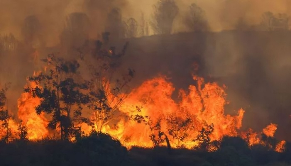 ইউরোপে রেকর্ড তাপপ্রবাহ: দাবানল ছড়িয়ে পড়লো, ইতালিতে শিশুর মৃত্যু