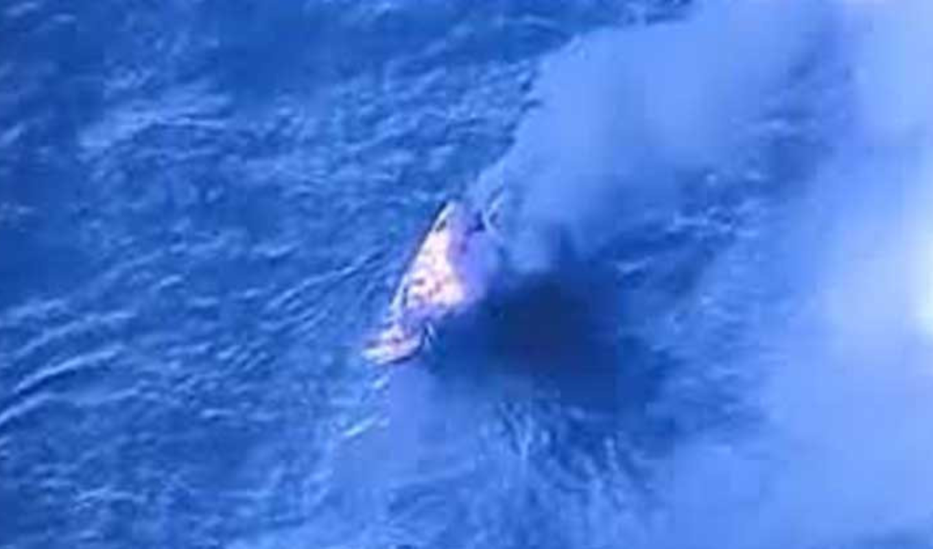 ক্যারিবীয় সাগরে যুক্তরাষ্ট্রের অভিযান, ধ্বংস মাদকবাহী সাবমেরিন