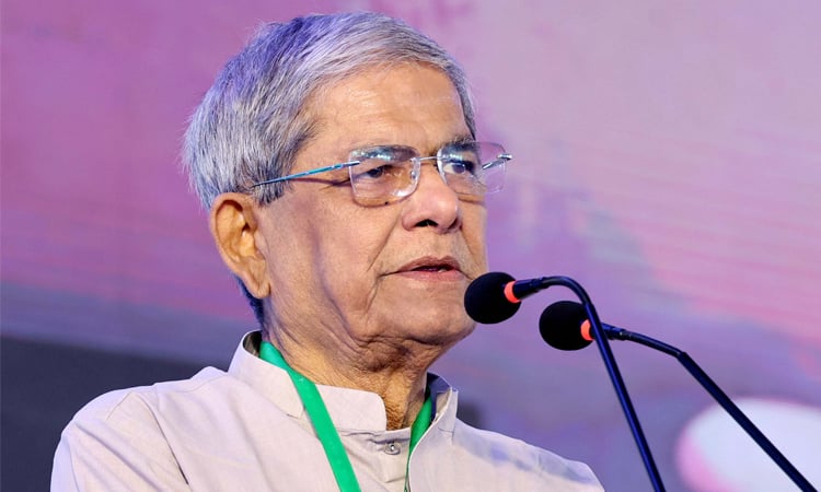 অন্তর্বর্তী সরকারের কারণেই বর্তমান সংকট: মির্জা ফখরুল