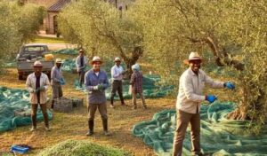 Italys New Plans for Hiring Foreign Workers and Key Points to Know Italy’s New Plans for Hiring Foreign Workers and Key Points to Know