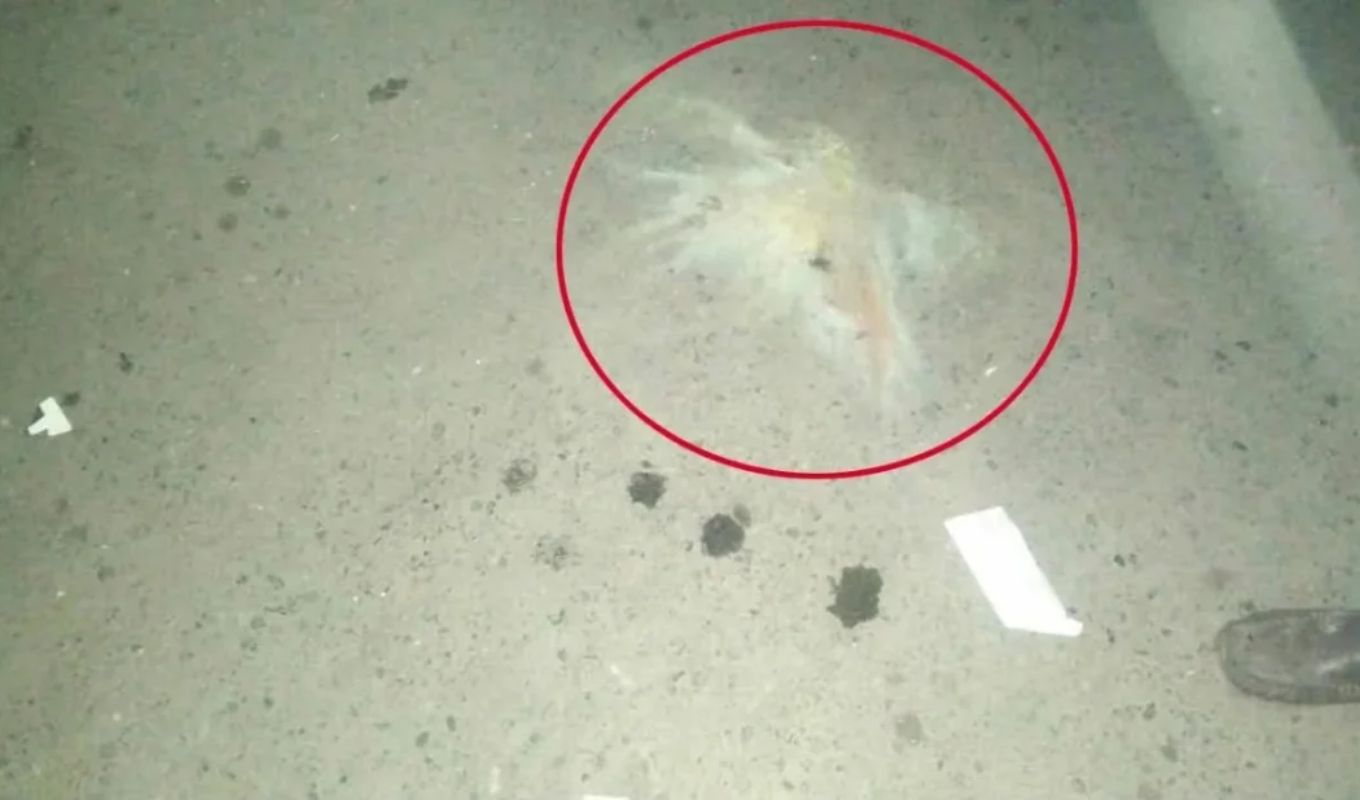 Two Consecutive Cocktail Explosions Near Dhaka Airport শাহজালাল বিমানবন্দরে ককটেল বিস্ফোরণ দুইটি