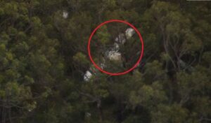 Two Light Aircraft Collide Over Sydney One Pilot Killed Two Light Aircraft Collide Over Sydney, One Pilot Killed