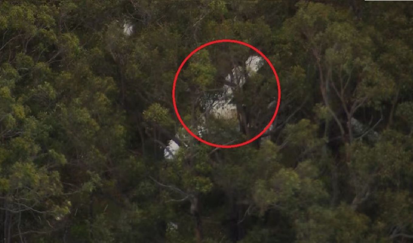 Two Light Aircraft Collide Over Sydney One Pilot Killed সিডনির কাছে দুটি হালকা বিমানের সংঘর্ষে এক পাইলট নিহত