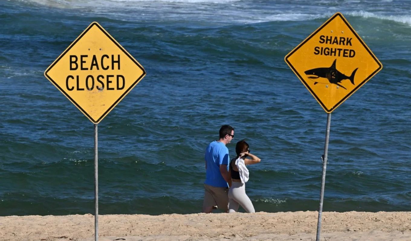 Young Woman Killed in Shark Attack in Australia Another Seriously Injured অস্ট্রেলিয়ার সৈকতে হাঙরের আক্রমণে তরুণীর মৃত্যু