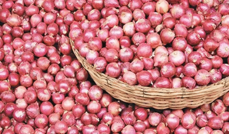 চলতি সপ্তাহে পিয়াজের দাম না কমলে আমদানি চলতি সপ্তাহে পিয়াজের দাম না কমলে আমদানি