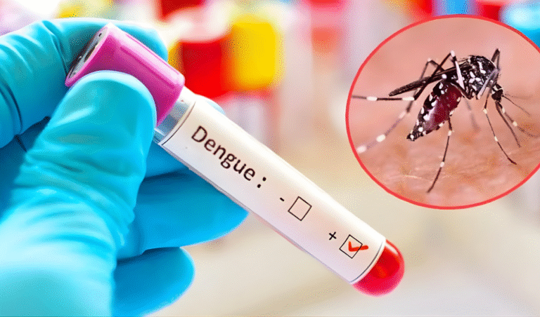 ডেঙ্গুতে আরও ৫ মৃত্যু, হাসপাতালে ভর্তি ১০৩৪ জন