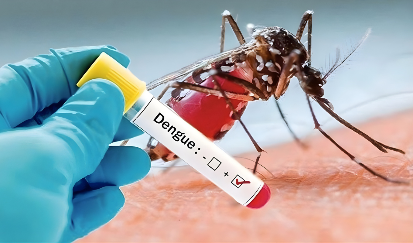 ডেঙ্গুতে ৩ জনের মৃত্যু, হাসপাতালে ভর্তি ৯১২