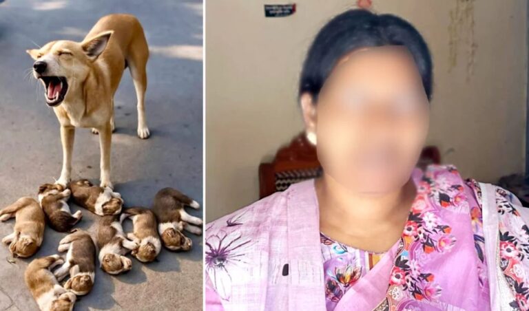 Case Filed Over Killing of Eight Puppies in Ishwardi ঈশ্বরদীতে আট কুকুরছানা ডুবিয়ে হত্যার ঘটনায় মামলা