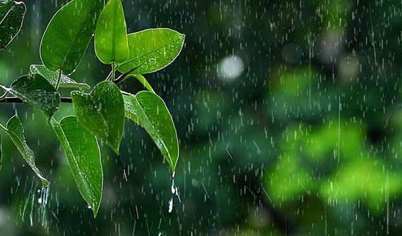 দেশব্যাপী গুঁড়ি গুঁড়ি বৃষ্টির পূর্বাভাস, তাপমাত্রা কমবে 1 Copy of ntitled দেশব্যাপী গুঁড়ি গুঁড়ি বৃষ্টির পূর্বাভাস, তাপমাত্রা কমবে