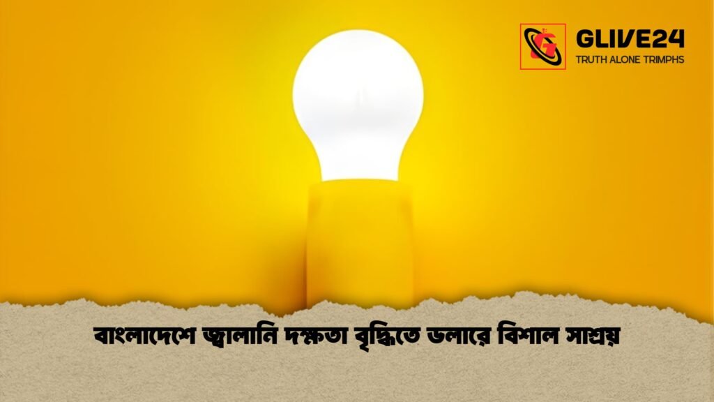 news thumbnail 1766016968309 বাংলাদেশে জ্বালানি দক্ষতা বৃদ্ধিতে ডলারে বিশাল সাশ্রয়