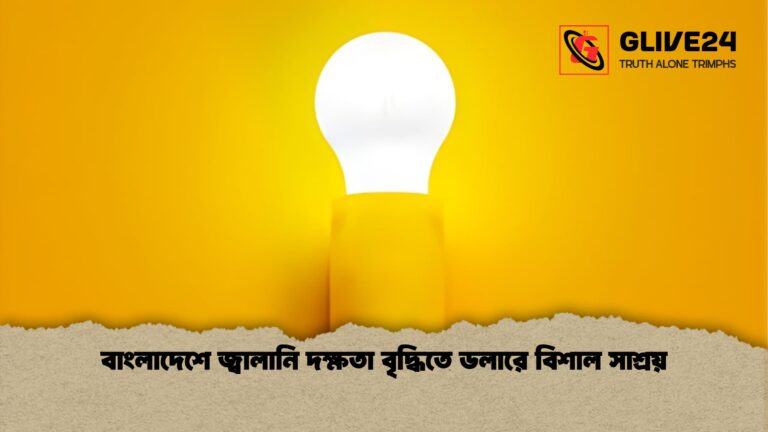 news thumbnail 1766016968309 বাংলাদেশে জ্বালানি দক্ষতা বৃদ্ধিতে ডলারে বিশাল সাশ্রয়