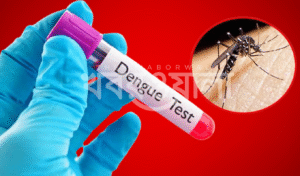ডেঙ্গুতে আরও দুইজনের মৃত্যু হাসপাতালে ভর্তি ৬১০ ডেঙ্গুতে আরও দুইজনের প্রাণহানি, হাসপাতালগুলোতে নতুন রোগীর ভিড়