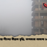 ঢাকায় শীতের তীব্রতা বৃদ্ধি তাপমাত্রা নামলো ১৩°C ঢাকায় শীতের তীব্রতা বৃদ্ধি, তাপমাত্রা নামলো ১৩°C