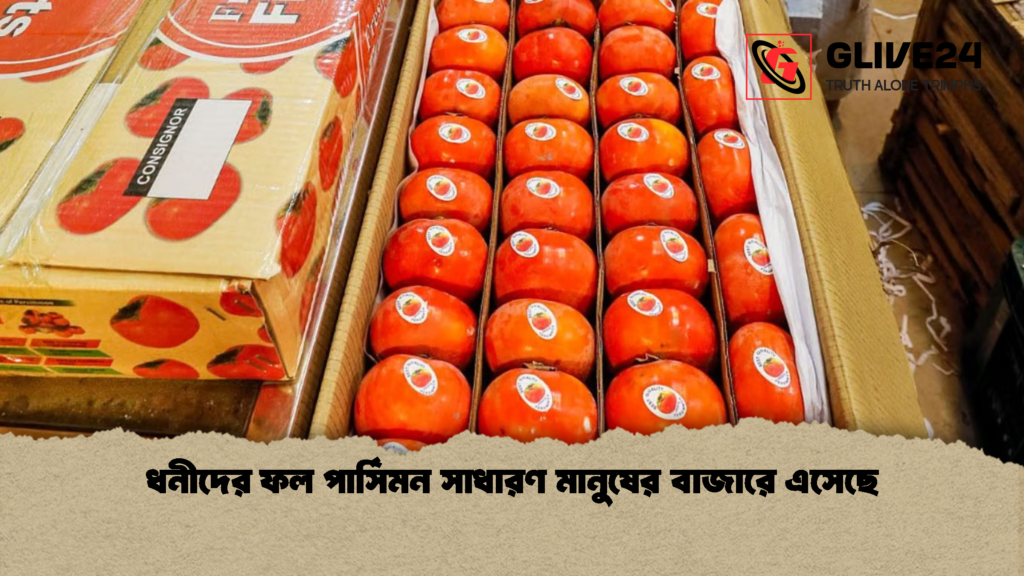 ধনীদের ফল পার্সিমন সাধারণ মানুষের বাজারে এসেছে ধনীদের ফল পার্সিমন সাধারণ মানুষের বাজারে এসেছে