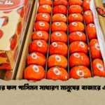 ধনীদের ফল পার্সিমন সাধারণ মানুষের বাজারে এসেছে ধনীদের ফল পার্সিমন সাধারণ মানুষের বাজারে এসেছে