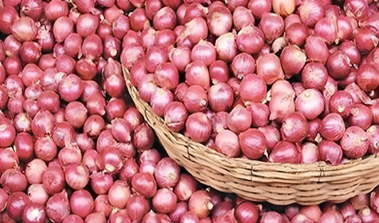 পেঁয়াজের দাম ১৫০ টাকা ছাড়ালো ডিসেম্বরে দাম বাড়ার কারণ পেঁয়াজের দাম ১৫০ টাকা ছাড়ালো: ডিসেম্বরের বাজার বিশ্লেষণ