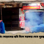 বর্জ্য পোড়ানোর ছবি দিলে সরকার দেবে পুরস্কার বর্জ্য পোড়ানোর ছবি দিলে সরকার দেবে পুরস্কার