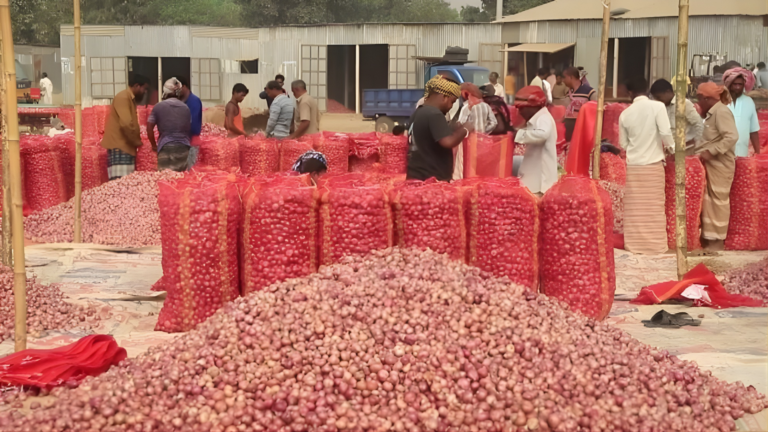 মজুদ থাকলেও পেঁয়াজের দাম বাড়ছে