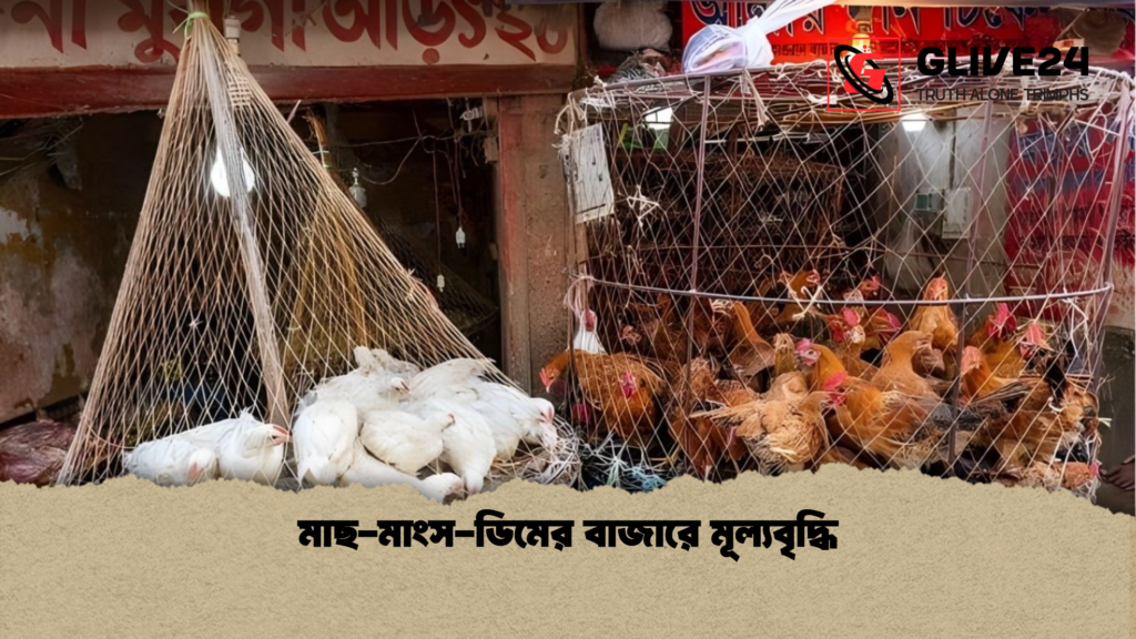 মাছ-মাংস-ডিমের বাজারে মূল্যবৃদ্ধি মাছ মাংস ডিমের বাজারে মূল্যবৃদ্ধি মাছ-মাংস-ডিমের বাজারে মূল্যবৃদ্ধি