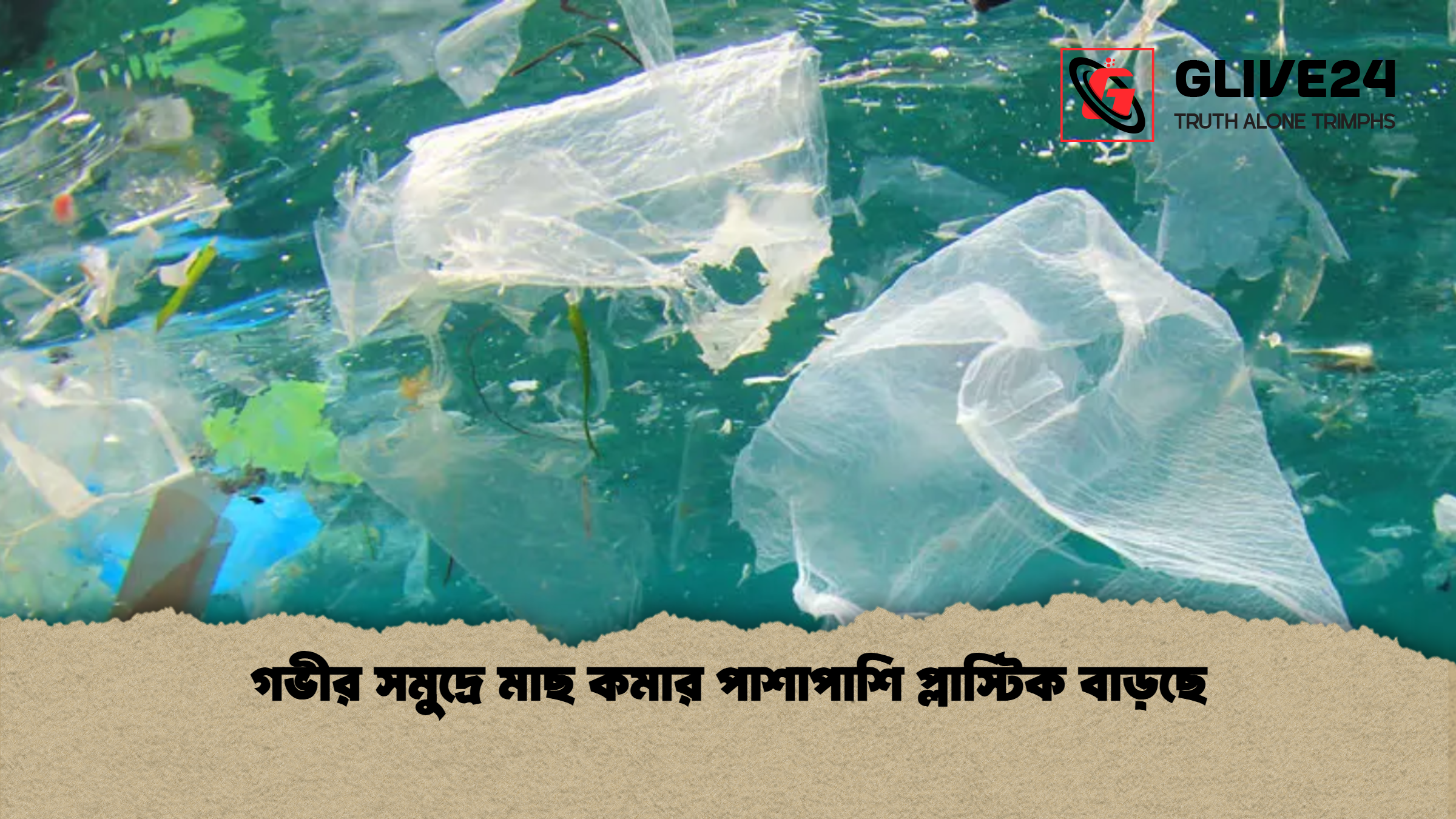 গভীর সমুদ্রে মাছ কমার পাশাপাশি প্লাস্টিক বাড়ছে