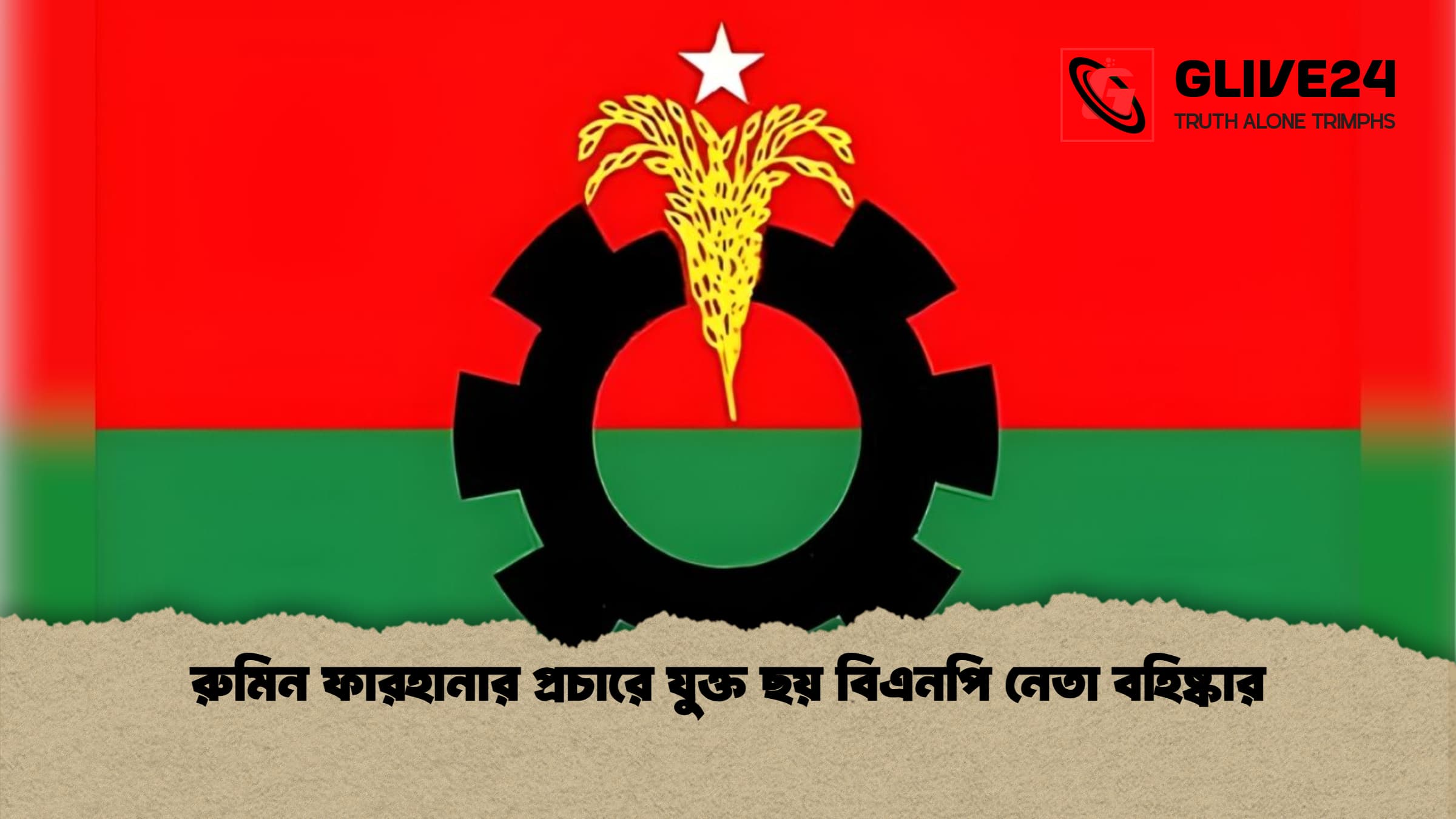 রুমিন ফারহানার প্রচারে যুক্ত ছয় বিএনপি নেতা বহিষ্কার