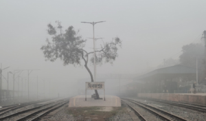 Dense Fog Disrupts Life in Dinajpur District Dense Fog Disrupts Life in Dinajpur District