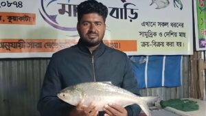 কুয়াকাটায় দেড় কেজি ওজনের একটি ইলিশের দাম ৫৪৫৬ টাকা কুয়াকাটায় দেড় কেজি ওজনের একটি ইলিশের দাম ৫৪৫৬ টাকা