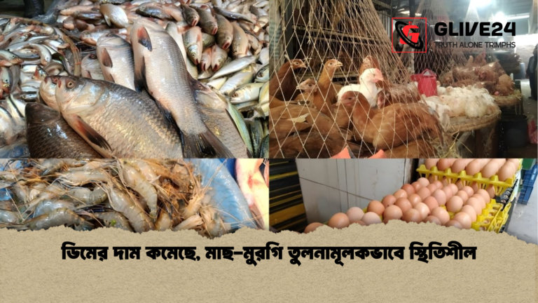 ডিমের দাম কমেছে মাছ মুরগি তুলনামূলকভাবে স্থিতিশীল ডিমের দাম কমেছে, মাছ-মুরগি তুলনামূলকভাবে স্থিতিশীল