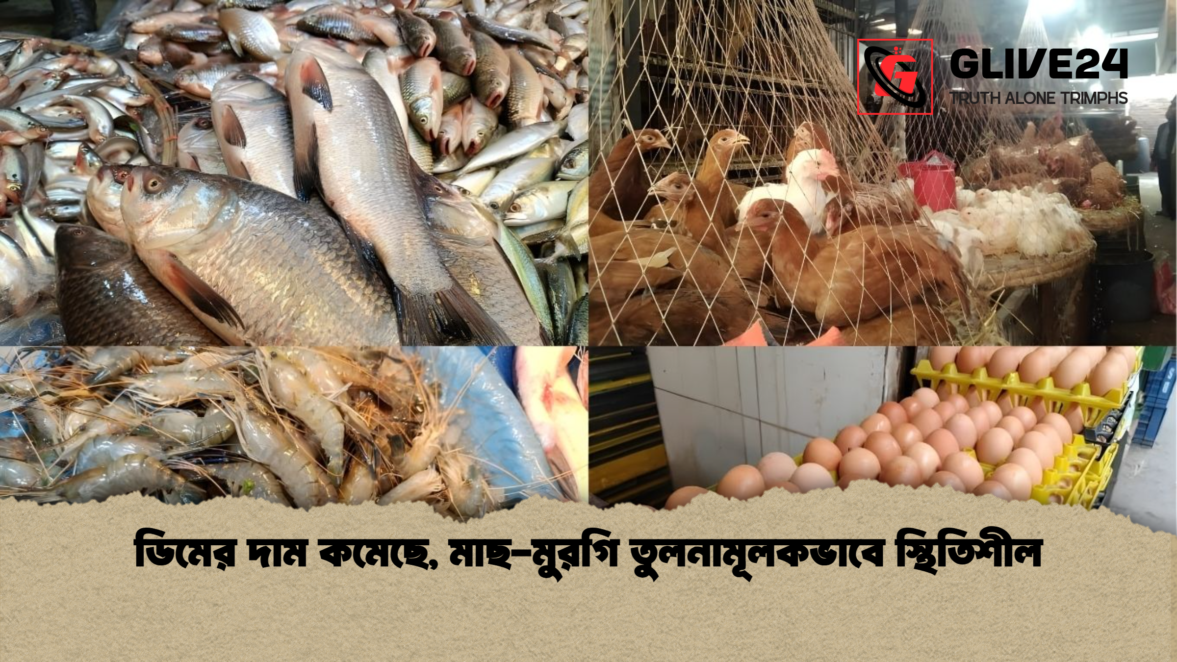 ডিমের দাম কমেছে মাছ মুরগি তুলনামূলকভাবে স্থিতিশীল ডিমের দাম কমেছে, মাছ-মুরগি তুলনামূলকভাবে স্থিতিশীল