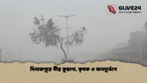 দিনাজপুরে তীব্র কুয়াশা কৃষক ও জনদুর্ভোগ দিনাজপুরে তীব্র কুয়াশা, কৃষক ও জনদুর্ভোগ