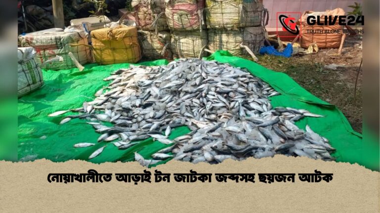 নোয়াখালীতে আড়াই টন জাটকা জব্দসহ ছয়জন আটক নোয়াখালীতে আড়াই টন জাটকা জব্দসহ ছয়জন আটক