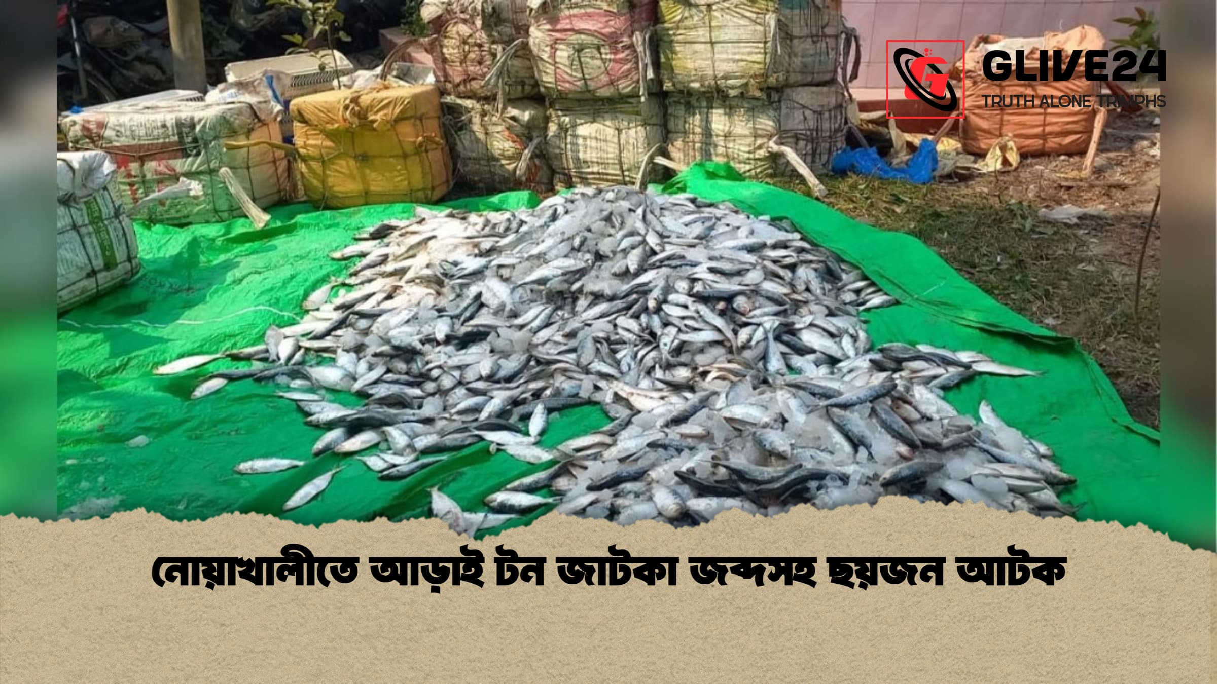 নোয়াখালীতে আড়াই টন জাটকা জব্দসহ ছয়জন আটক 1 নোয়াখালীতে আড়াই টন জাটকা জব্দসহ ছয়জন আটক নোয়াখালীতে আড়াই টন জাটকা জব্দসহ ছয়জন আটক