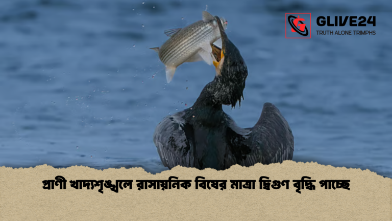প্রাণী খাদ্যশৃঙ্খলে রাসায়নিক বিষের মাত্রা দ্বিগুণ বৃদ্ধি পাচ্ছে প্রাণী খাদ্যশৃঙ্খলে রাসায়নিক বিষের মাত্রা দ্বিগুণ বৃদ্ধি পাচ্ছে