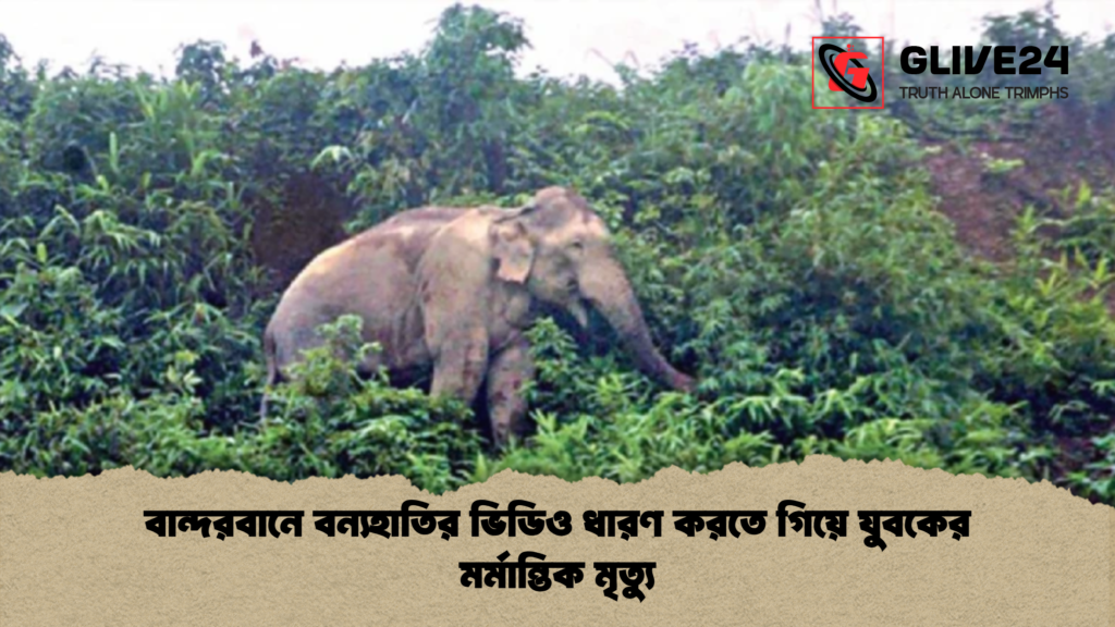 বান্দরবানে বন্যহাতির ভিডিও ধারণ করতে গিয়ে যুবকের মর্মান্তিক মৃত্যু বান্দরবানে বন্যহাতির ভিডিও ধারণ করতে গিয়ে যুবকের মর্মান্তিক মৃত্যু