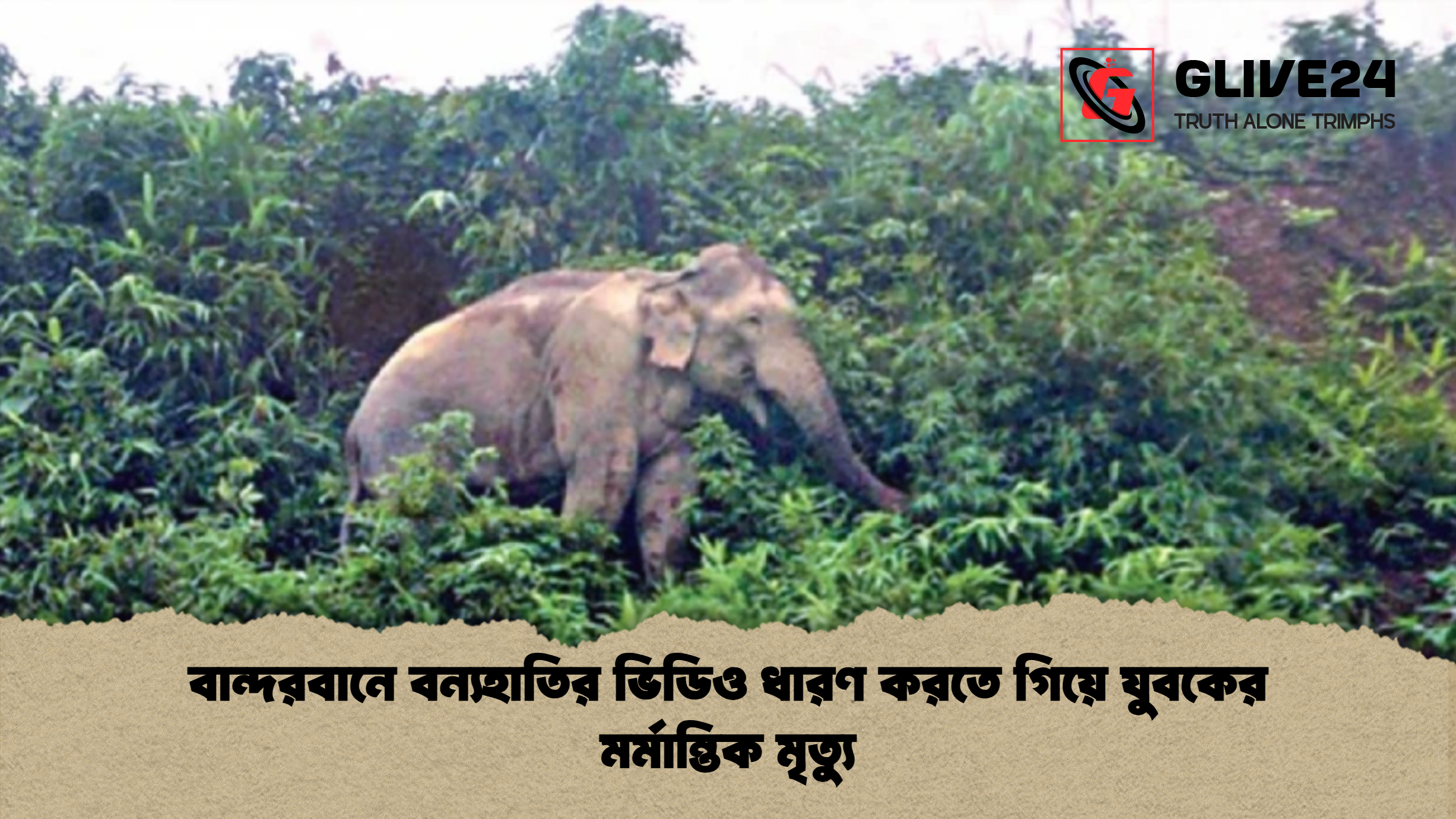 বান্দরবানে বন্যহাতির ভিডিও ধারণ করতে গিয়ে যুবকের মর্মান্তিক মৃত্যু বান্দরবানে বন্যহাতির ভিডিও ধারণ করতে গিয়ে যুবকের মর্মান্তিক মৃত্যু