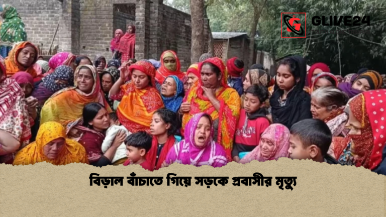 বিড়াল বাঁচাতে গিয়ে সড়কে প্রবাসীর মৃত্যু বিড়াল বাঁচাতে গিয়ে সড়কে প্রবাসীর মৃত্যু